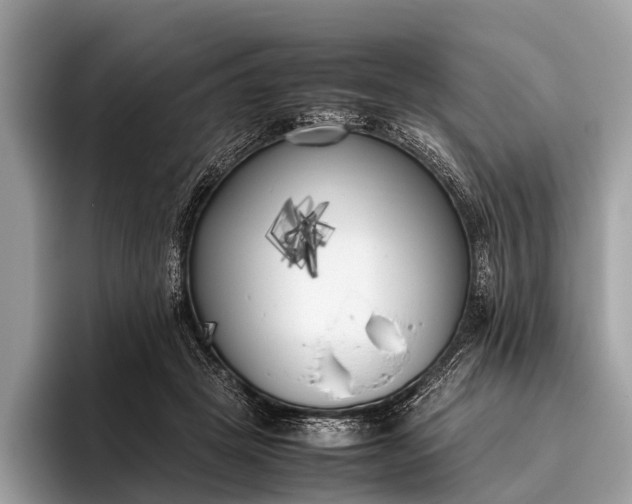 X0000095910457200801251013