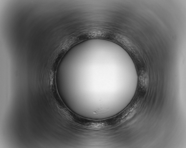 X0000095910458200801251013