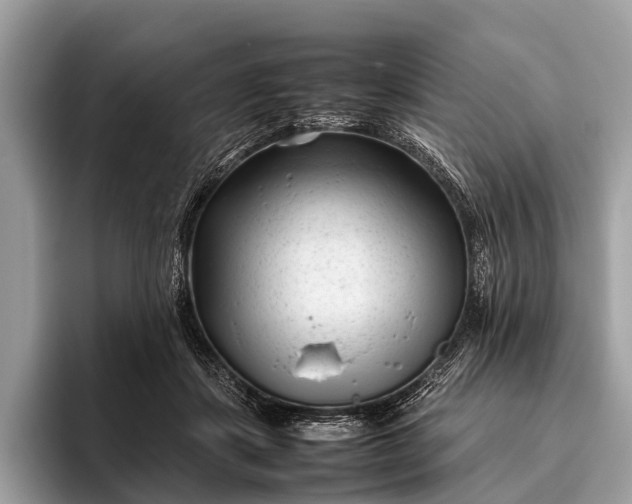 X0000095910459200801251013