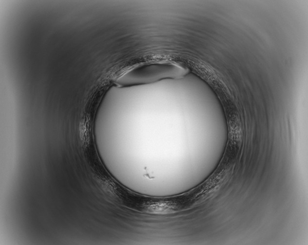 X0000095910460200801251013