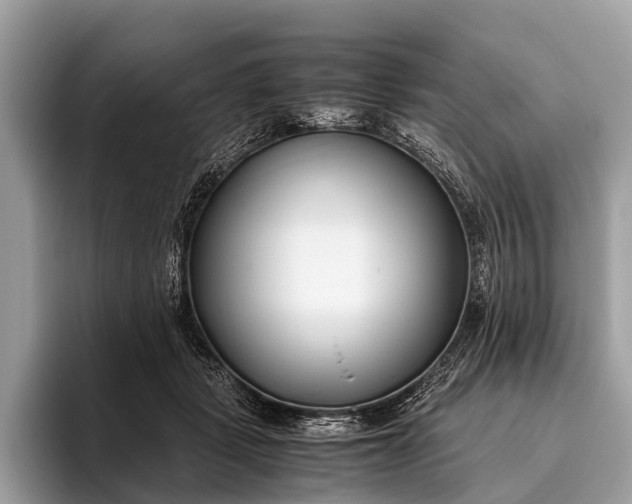 X0000095910461200801251013