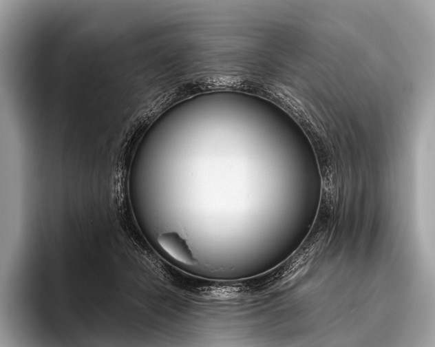 X0000095910462200801251013