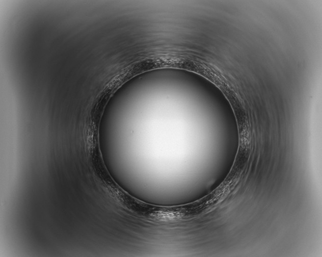 X0000095910464200801251013