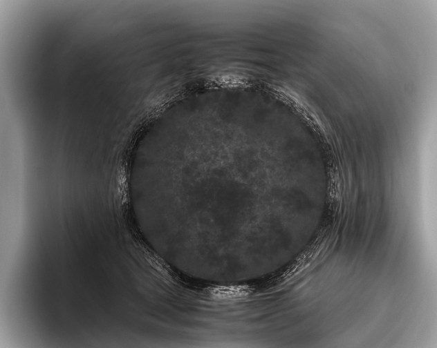 X0000095910465200801251013