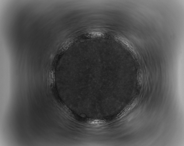 X0000095910467200801251013