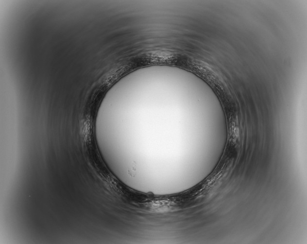 X0000095910468200801251013