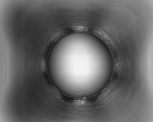 X0000095910469200801251013