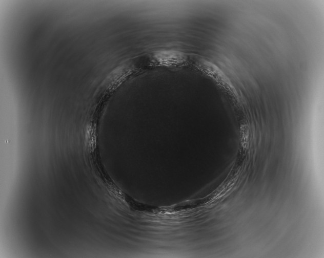 X0000095910471200801251013