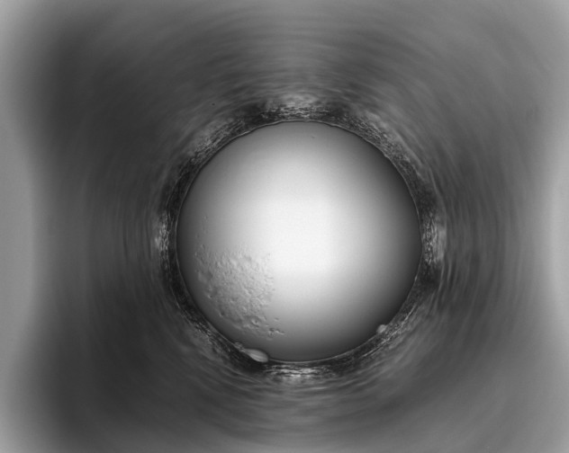 X0000095910472200801251013