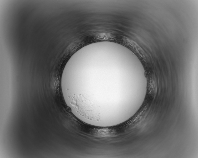 X0000095910473200801251013