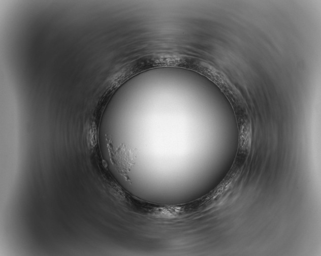 X0000095910474200801251013