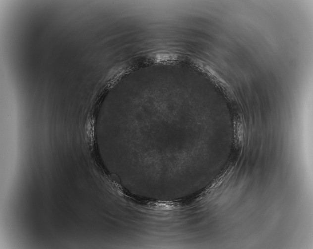 X0000095910475200801251013