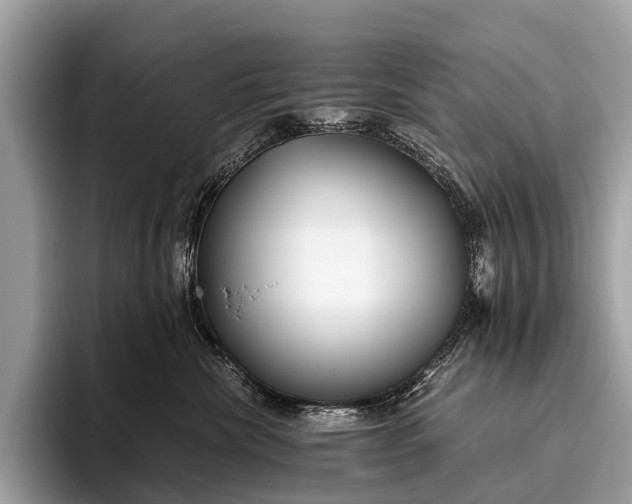 X0000095910476200801251013