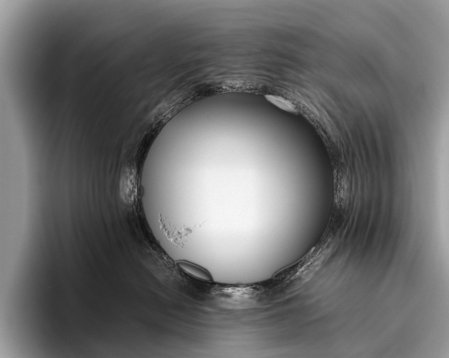 X0000095910478200801251013