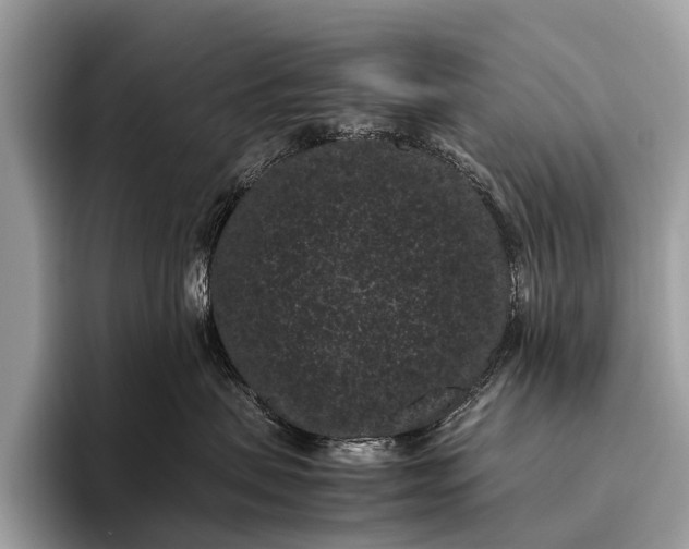 X0000095910479200801251013