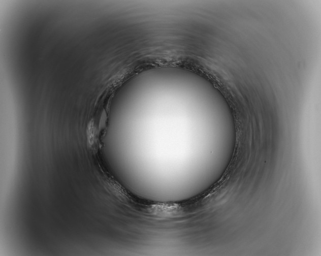 X0000095910480200801251013