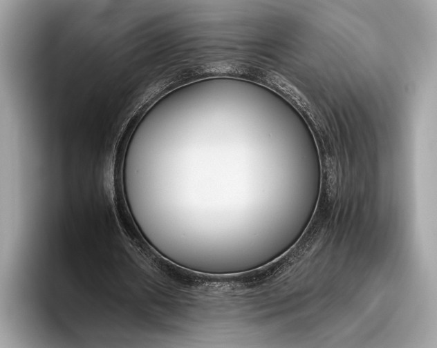 X0000095910482200801251013