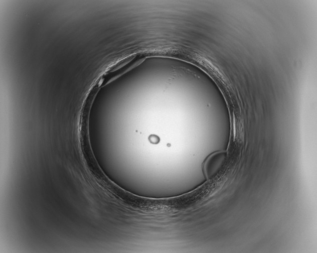 X0000095910483200801251013