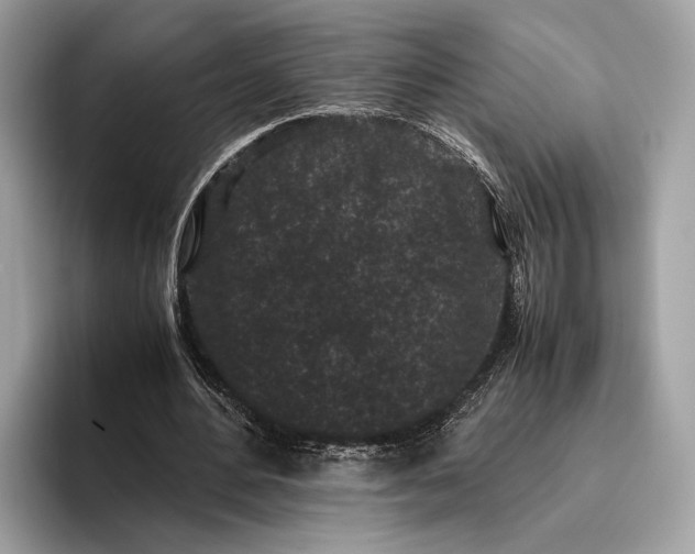 X0000095910484200801251013