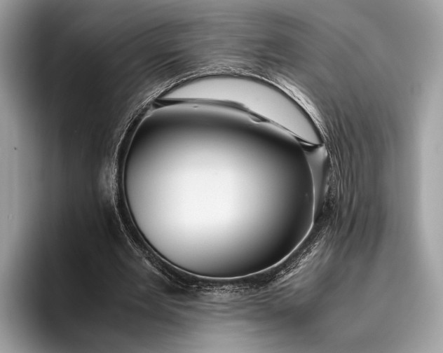 X0000095910485200801251013