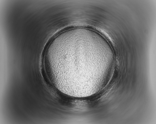 X0000095910487200801251013