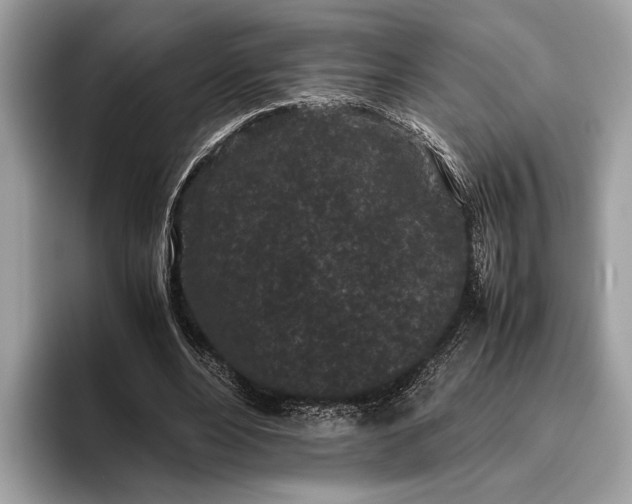 X0000095910488200801251013