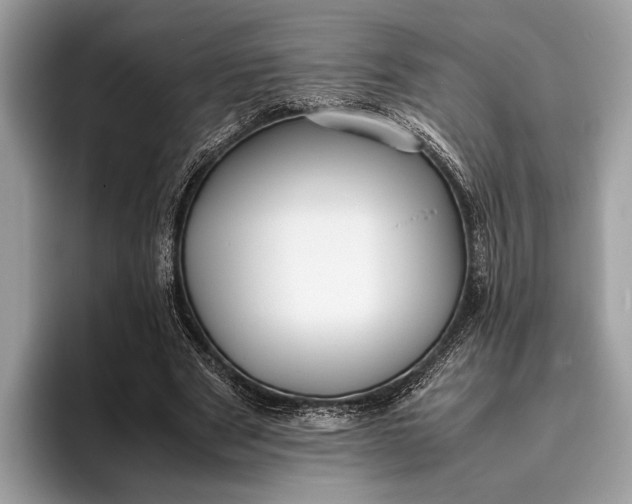 X0000095910489200801251013