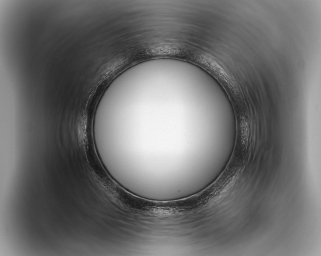 X0000095910490200801251013