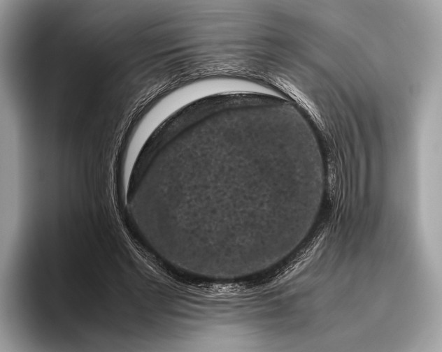 X0000095910493200801251013