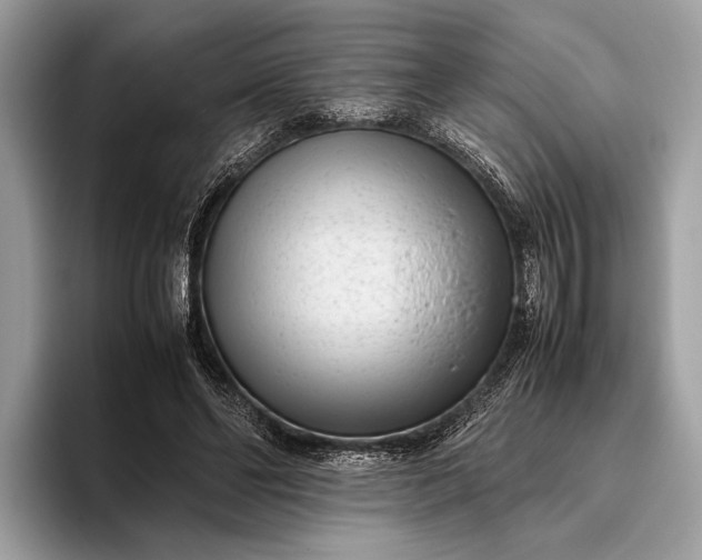 X0000095910494200801251013