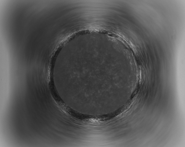 X0000095910496200801251013