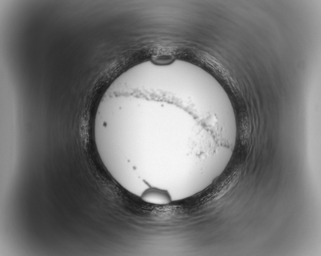 X0000095910497200801251013