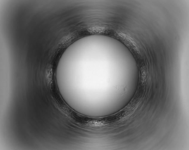 X0000095910498200801251013