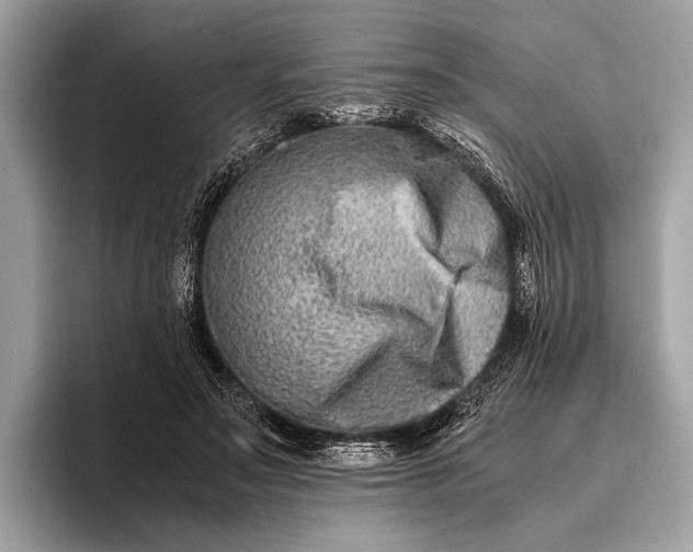 X0000095910499200801251013