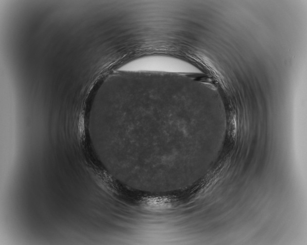 X0000095910500200801251013