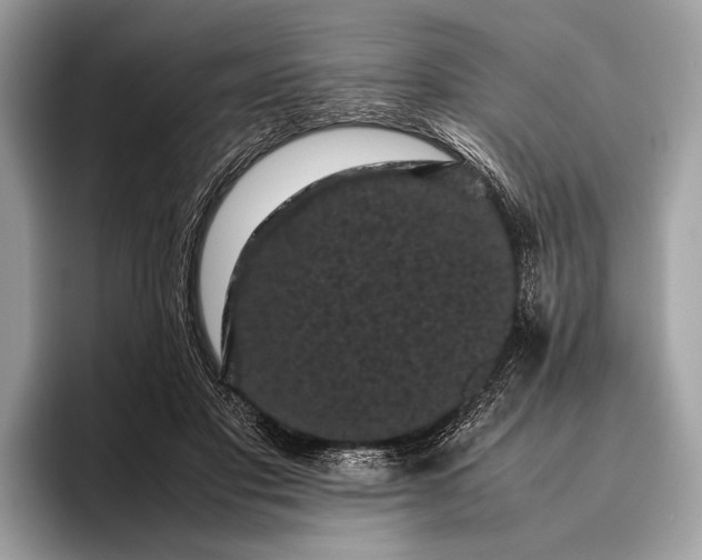 X0000095910501200801251013