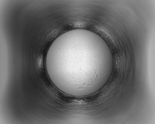 X0000095910502200801251012