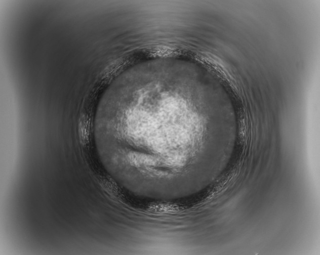 X0000095910503200801251012