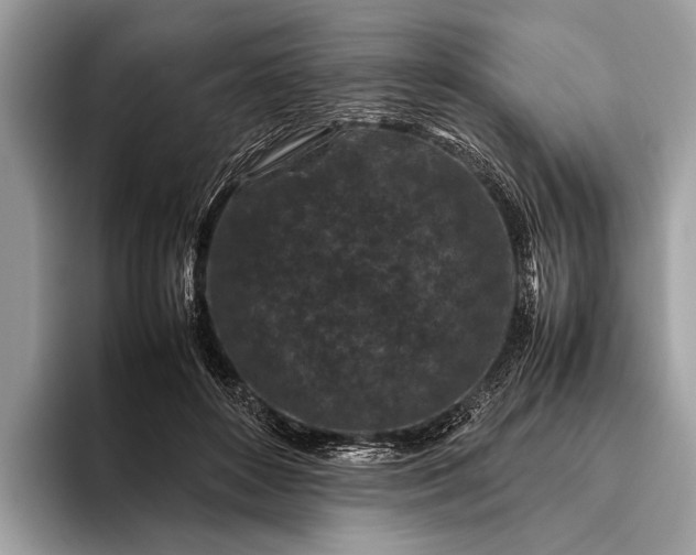 X0000095910504200801251012