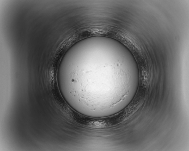 X0000095910506200801251012