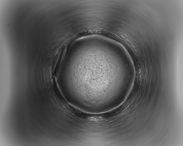 X0000095910508200801251012