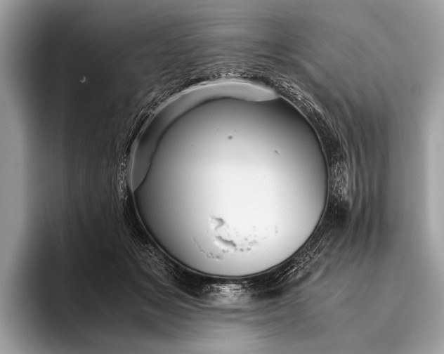 X0000095910509200801251012