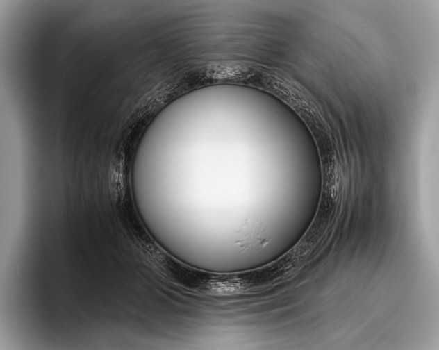 X0000095910510200801251012