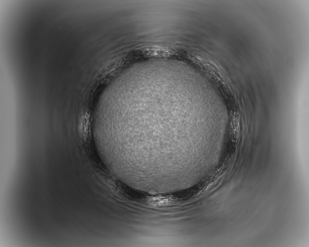 X0000095910511200801251012