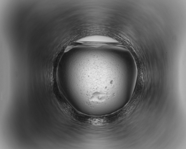 X0000095910512200801251012