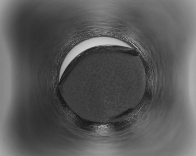 X0000095910513200801251012