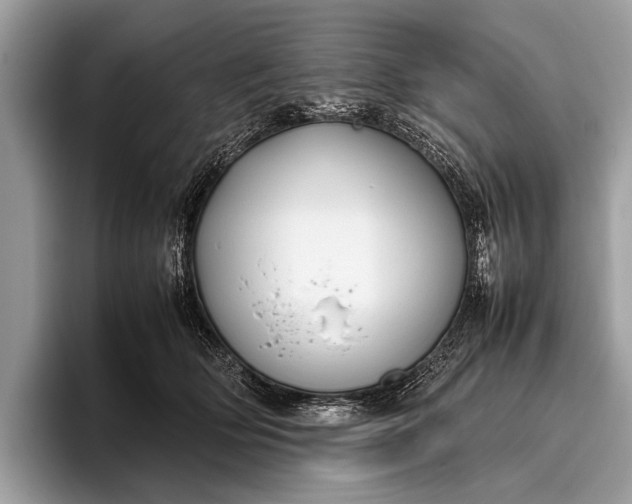 X0000095910514200801251012