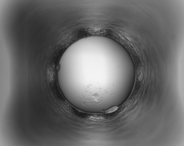 X0000095910515200801251012