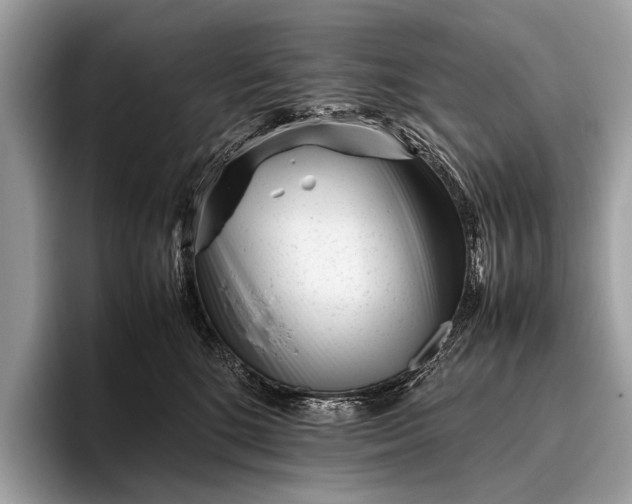 X0000095910520200801251012