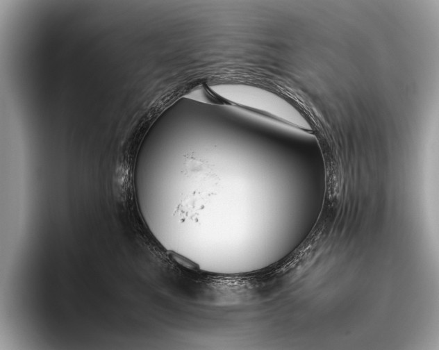 X0000095910521200801251012